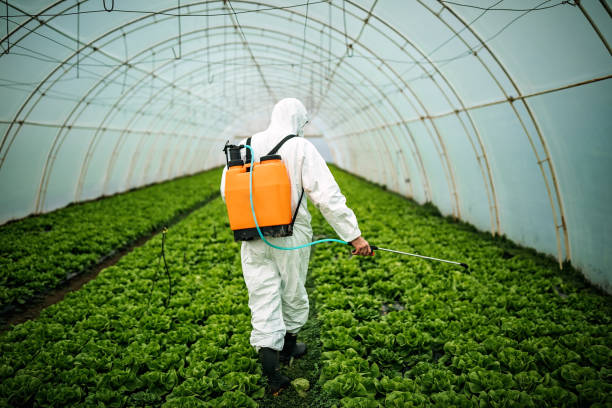 Best Pest Inspection Near Me  in Debary, FL