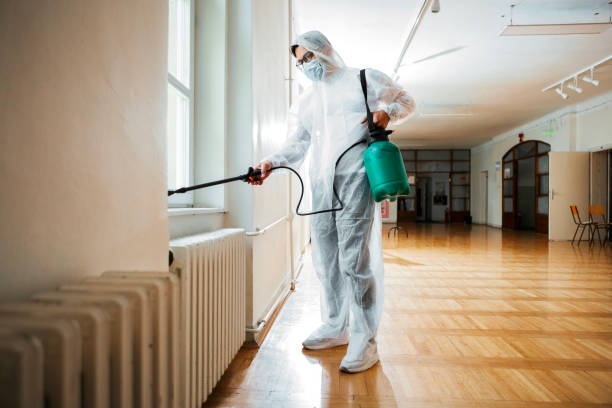 Best Mosquito Control Services  in Debary, FL